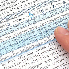 Cargar imagen en el visor de la galería, Regla transparente biselada Raymay